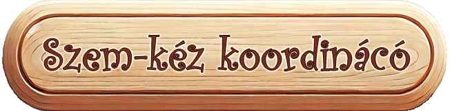 Szem kéz koordináció